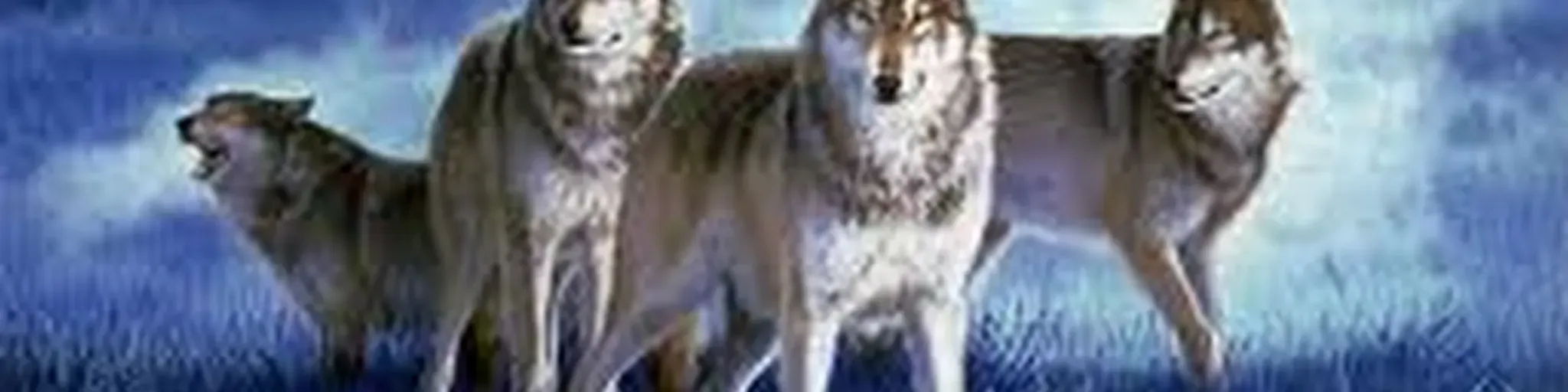 Wolves Mix Station