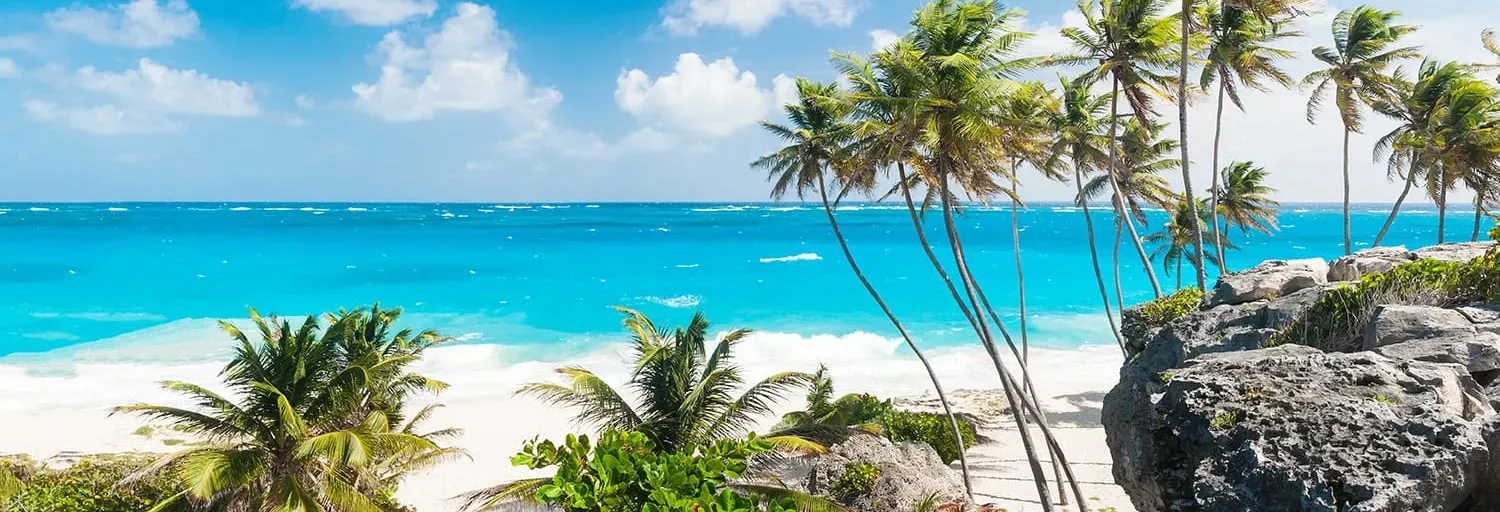 Caribbean Flavazz With Dj-Mroc
