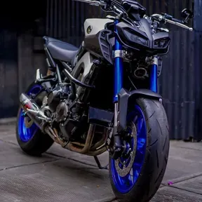 Bruss272