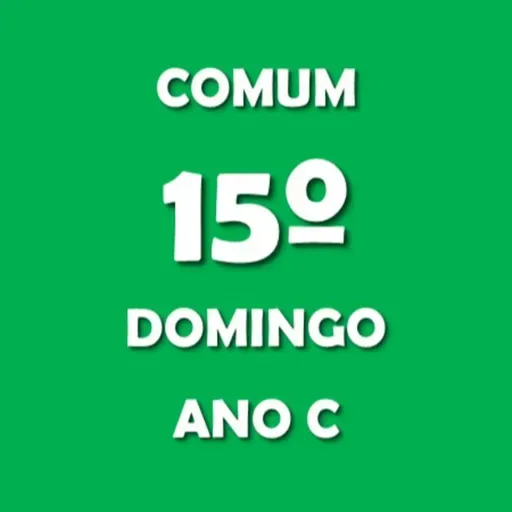 575 - 15º Domingo Comum