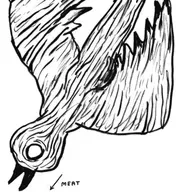 recados do coração