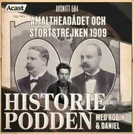 564. Amaltheadådet och storstrejken 1909