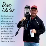 Episode 34: Profound and life-changing encounters with animals, with wildlife photographer Dan Elster
