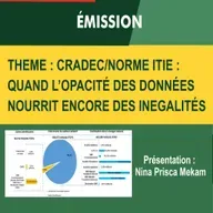 CRADEC/NORME ITIE: QUAND L’OPACITÉ NOURRIT DES INEGALITÉS
