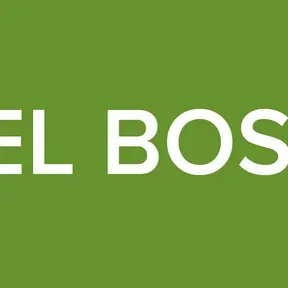 IBB EL BOSQUE