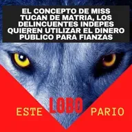 1174-el concepto de miss tucan de matria-🐺 Estelobopario -☢-22-07-2021