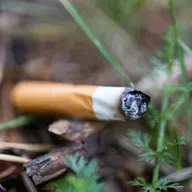 Cigaretskodder i kloakken, er det skadeligt eller ej?