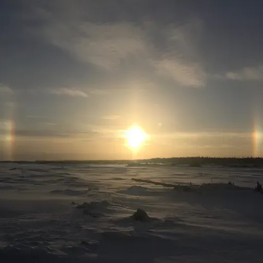 2026-03-21 Bill Grier