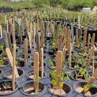 Conservación y manejo: Los desafíos actuales en la Reunión de ecología trinacional