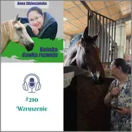 #210 Wzruszenie