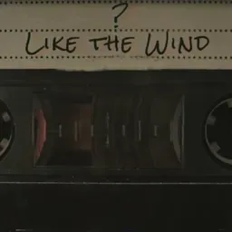 The Most Mysterious Song On The Internet Radio