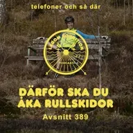 389. Därför ska du åka rullskidor