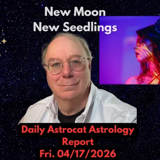 Aries New Moon Intentions That Take Root