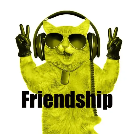 Friendship