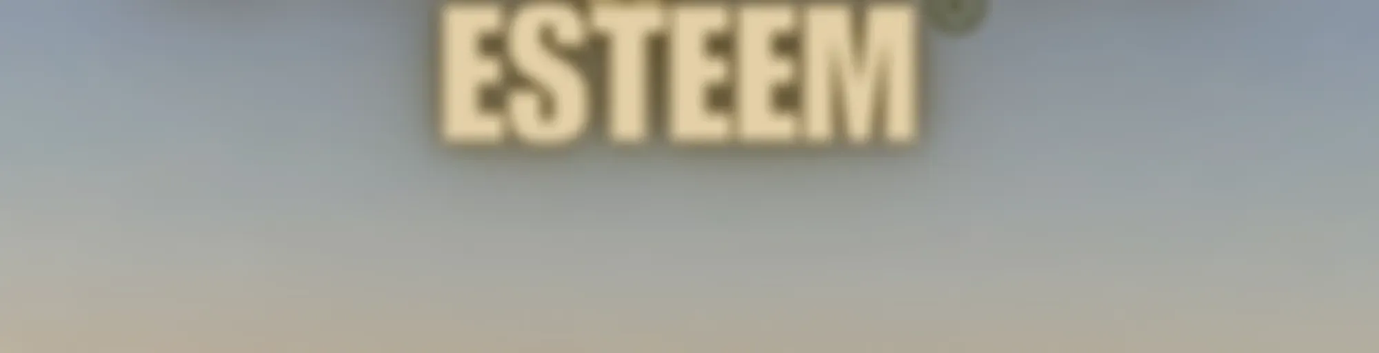 Selfless Esteem