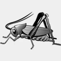 Cricket Radio Variety Hits