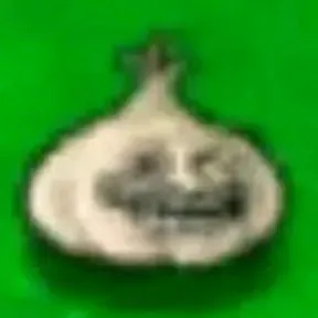 Xdnahu2