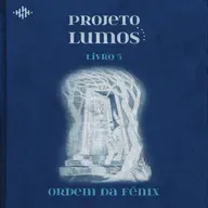 projeto lumos - a ordem da fênix, capítulo 14
