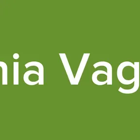 Sintonia Vagonera