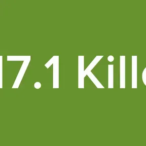 1017.1 Killers
