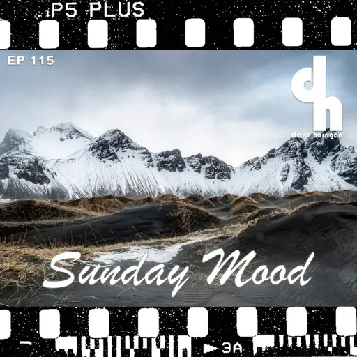 Sunday Mood 115