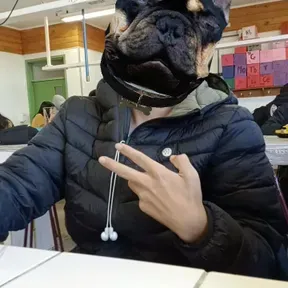 marcosex
