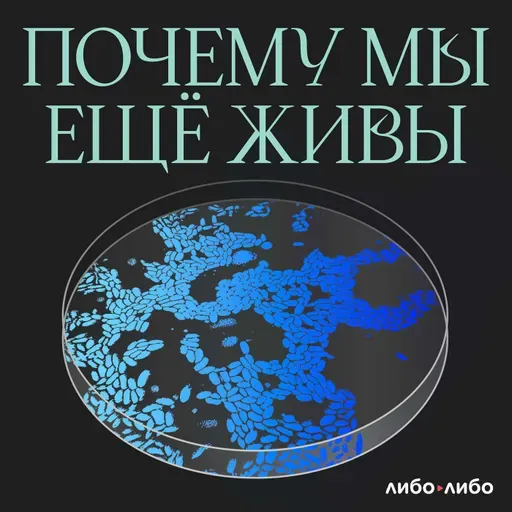 Опрос слушателей подкаста «Почему мы ещё живы»