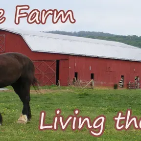 Ritter Farms Internet Radio