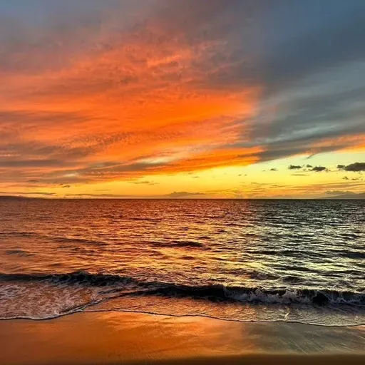 Everybody’s everything-Oct 18, 2025