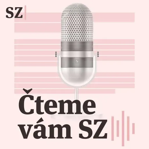 Vojenská policie chce obžalovat tři lidi a jednu firmu kvůli zakázkám na obraně