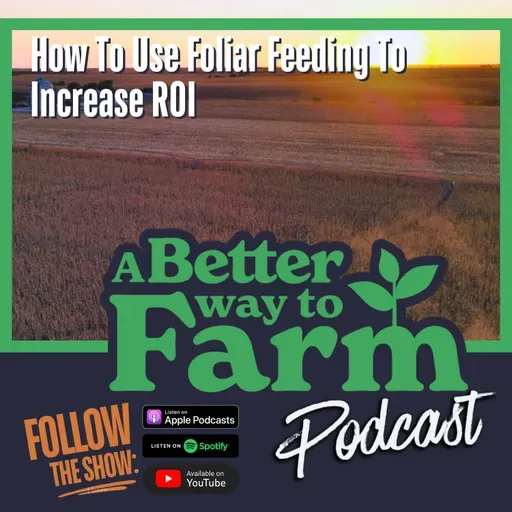 371: How To Use Foliar Feeding To Increase ROI
