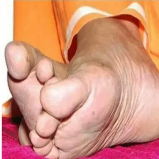 Sivananda Dhyana Yogam