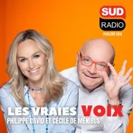 Les Vraies Voix - Gabriel Attal a-t-il une chance de succéder à Emmanuel Macron ? / ZFE : le parlement sert-il encore à quelque chose ?