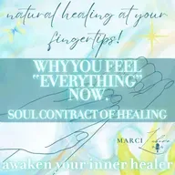 Why You’re Feeling Everything: Gut Truth, Ancestral Rising & the 2026 Awakening | Bonus Episode 35