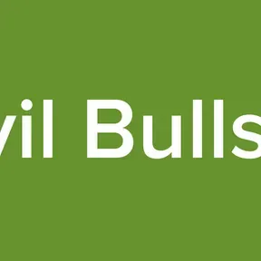 Civil Bullshit