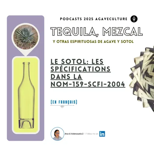 L'AO Sotol: les spécifications dans la NOM-159-SCFI-2004