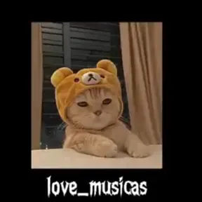 Love musics