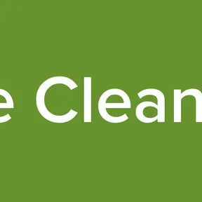 The Cleaners