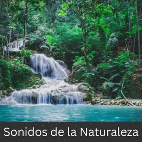 Sonidos de la Naturaleza