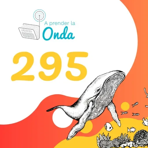 Episodio 295 Sexualidad: algo que somos, no algo que hacemos