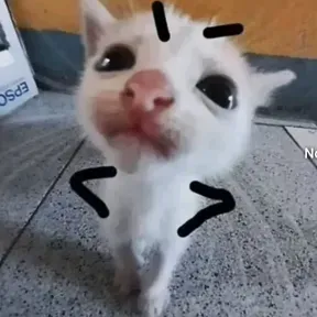 Pandaaa