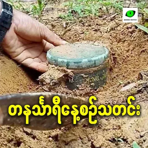 ဖေဖော်ဝါရီလ ၁၇ရက် တနင်္သာရီနေ့စဉ်သတင်း အစီအစဉ်