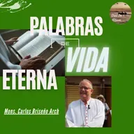 T4. Ep. 19. Esa pobre viuda ha echado en la alcancía más que todos.
