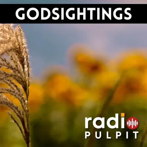 Godsighings for the week