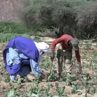 Timia : des jeunes mobilisés autour d’activités génératrices de revenus (Tous à la fada)