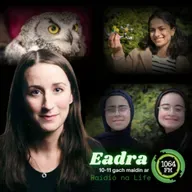 Dea-Scéalta na Seachtaine - 18 Bealtaine 2026