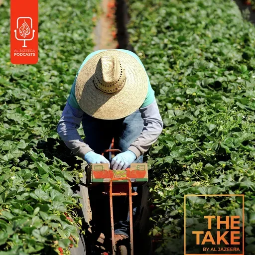 What do mass ICE raids mean for migrant farmworkers?