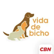 Como identificar se os pets estão com medo?