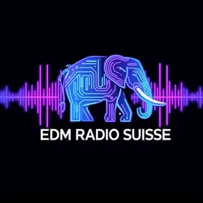 NEW EDM Radio Suisse ft Steve Fee