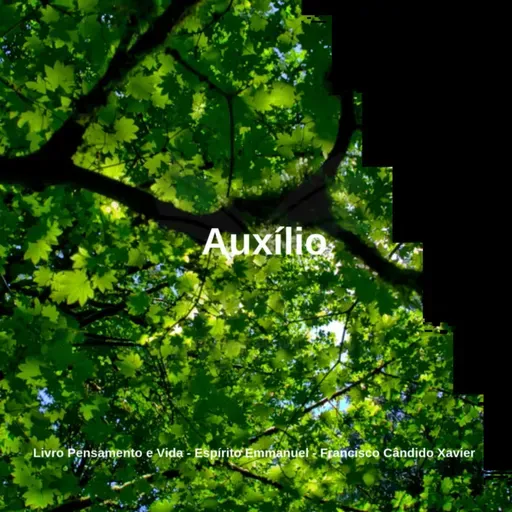 Pensamento e Vida - Cap. 23. Auxílio
